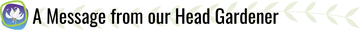 HGHeader1200.png