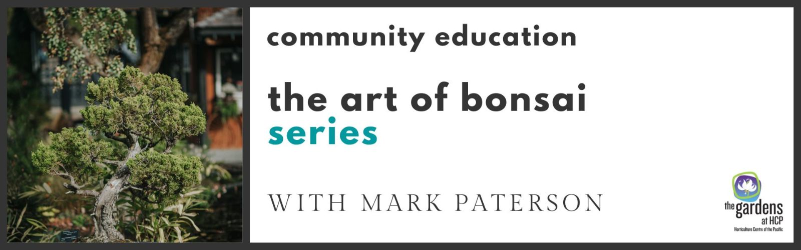 ArtofBonsai.jpg