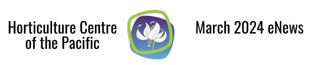 Copy%20of%20New%20Header%20(7).png