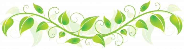 Leaf%20bottom.jpg