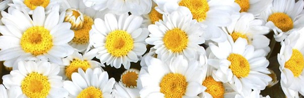 Picture1(12).jpg