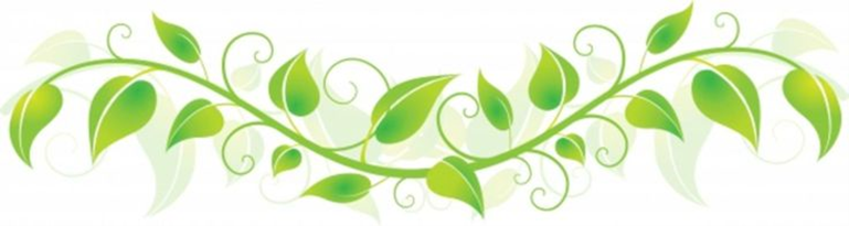 Picture1(6).png