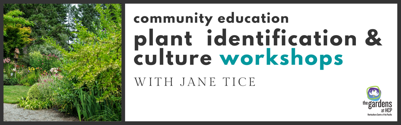 Plant%20Identification%20(2).png