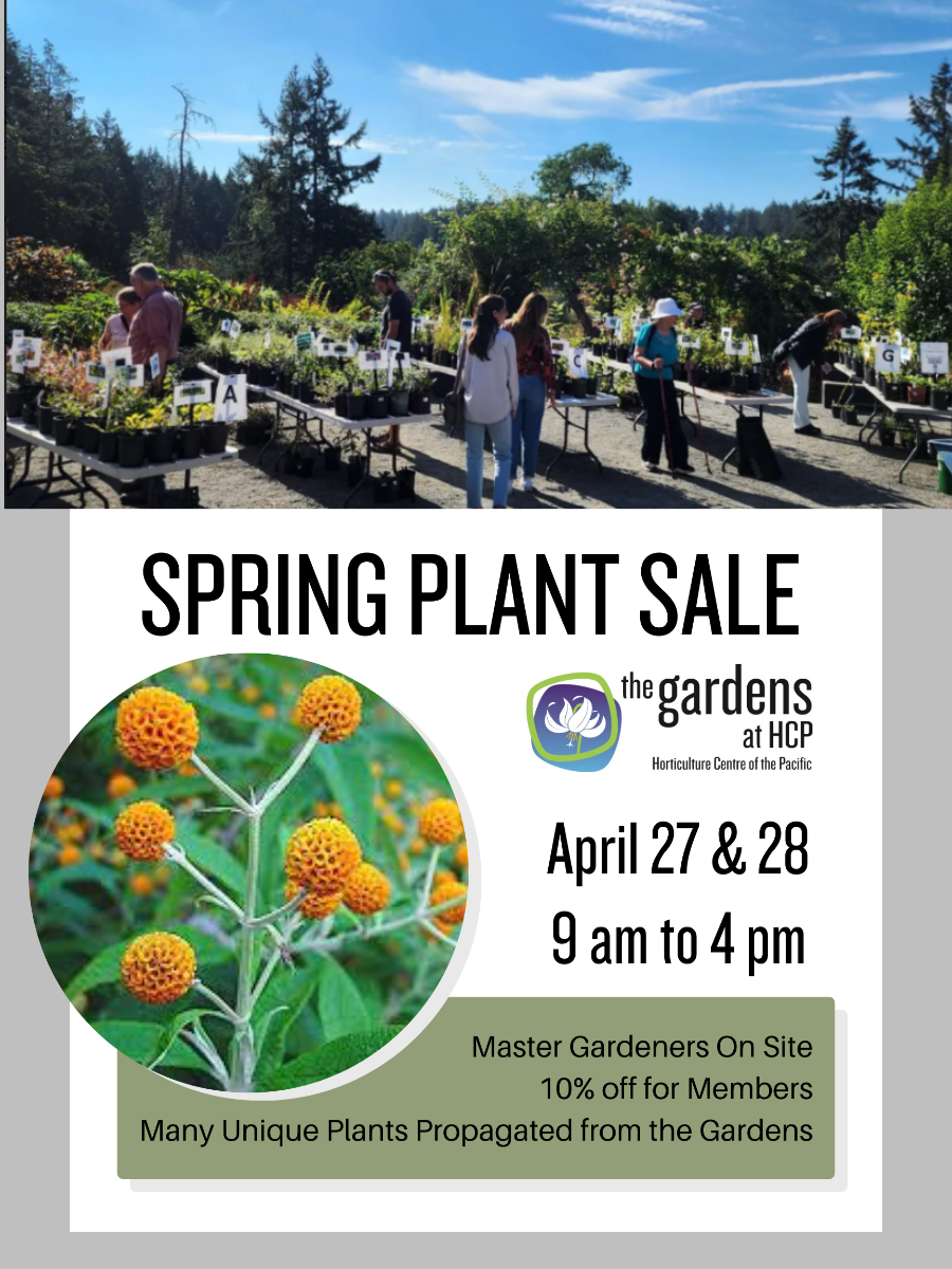 SPRING%20PLANT%20SALE%20(1).png