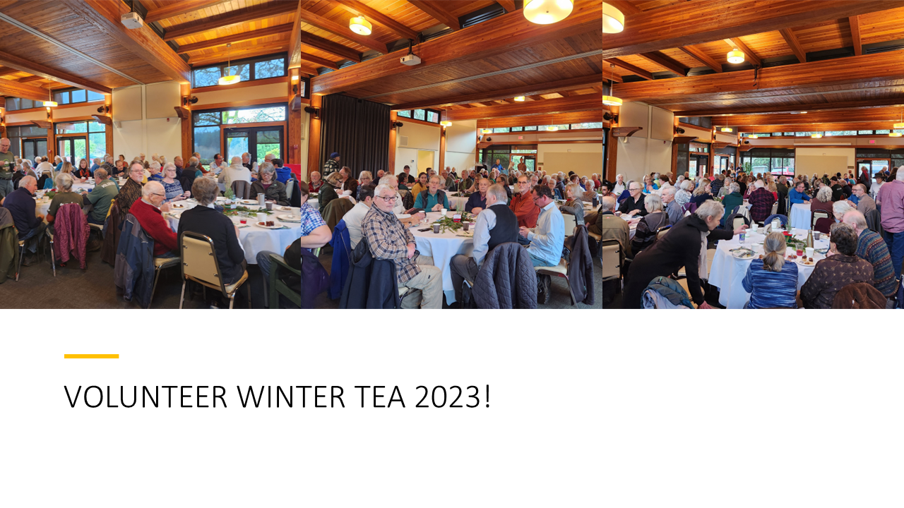 VOLUNTEER%20WINTER%20TEA%202023!.png