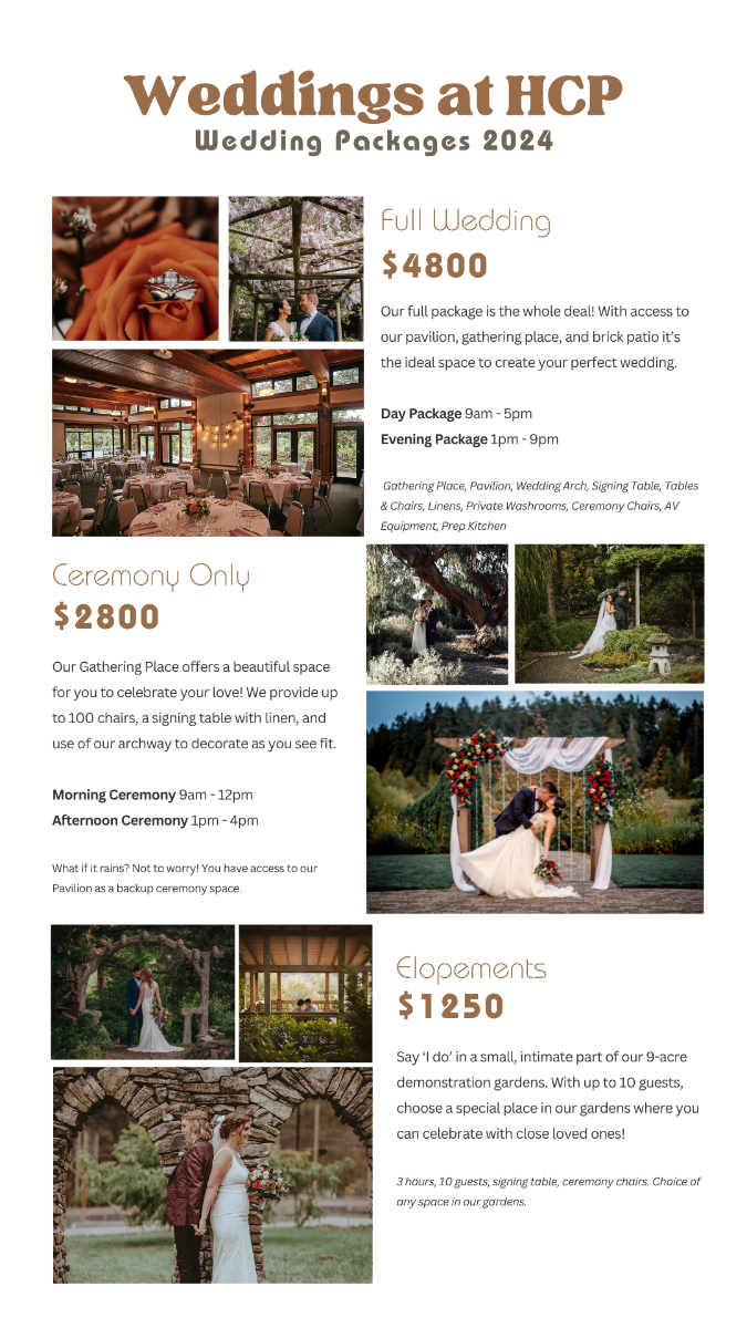 Weddings%20-%20ENews%20Nov%202023.png