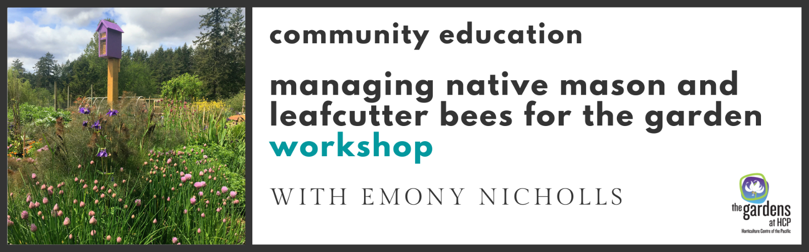 native%20bees.png