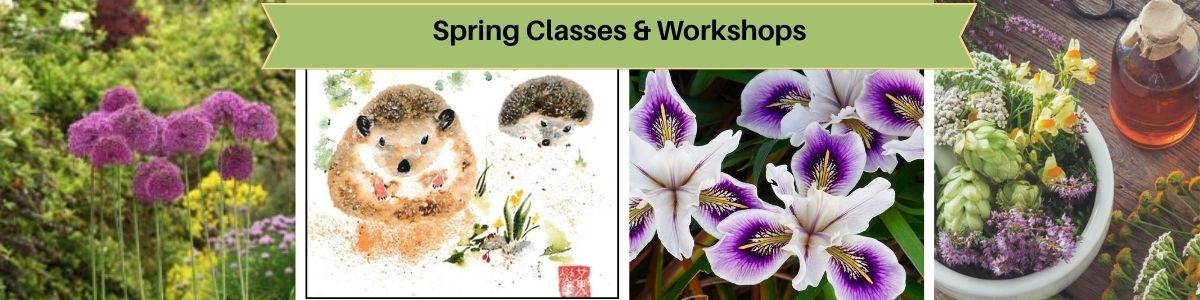Spring%20Classes%20%26%20Workshops%20(600%20x%20250%20px)%20(600%20x%20150%20px).jpg