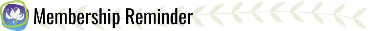 MRHeader1200.png