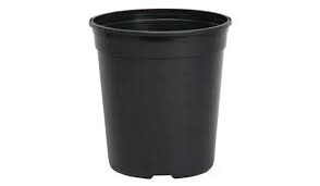 nursery%20pot.png